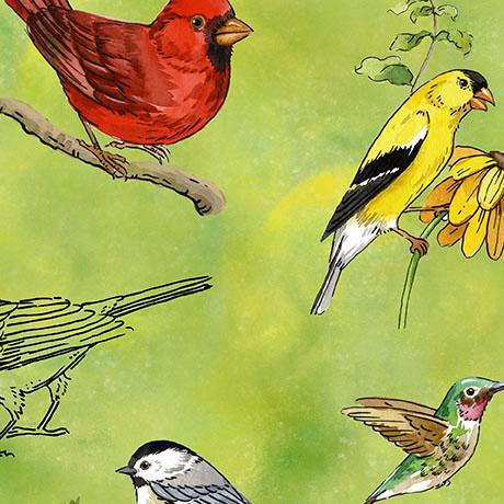 Drawn To Birds-Tossed Birds Lt Green 2600-31135-H
