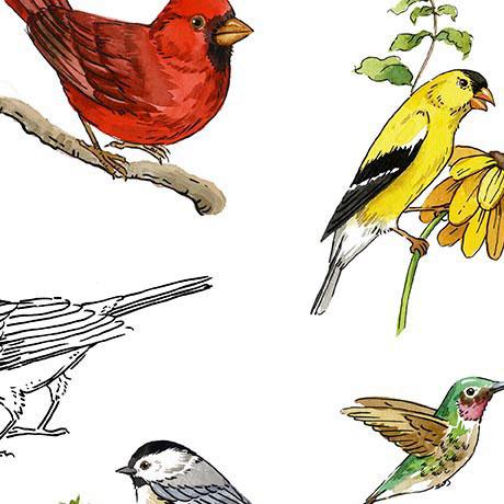 Drawn To Birds-Tossed Birds White 2600-31135-Z