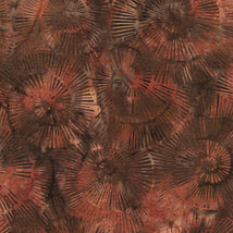 Earth Essence-Fossil Spiral 112518078