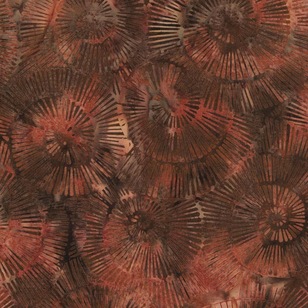 Earth Essence-Fossil Spiral 112518078