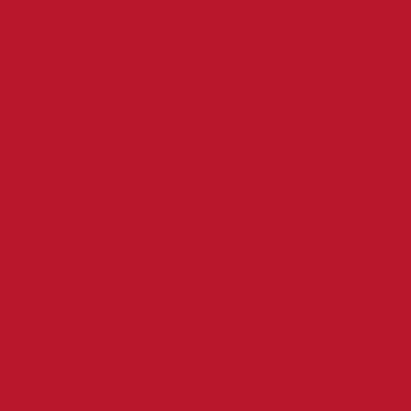Ecco Cotton Solids-Cherry EC-330