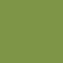 Ecco Cotton Solids-Meadow EC-645