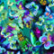 Electric Butterflies-Multi NATURE-CD3157-MULTI