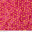 Elementals-Polka Pop Punch BT21400-198