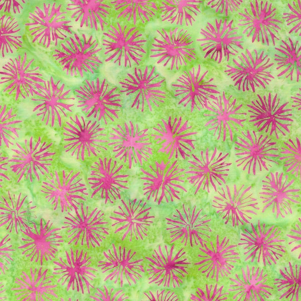 Everlasting-Dandelion Multi Pink Green 712520803
