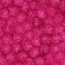 Everlasting-Dandelion Pink Raspberry 712520145
