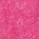 Everlasting-Starburst Pink Raspberry 712518145