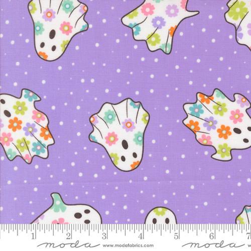 Fab Boo Lous-Grape Soda 22480-13