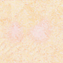 Fairy Frost-Creamsicle CM0376-CRMS-D