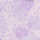 Fairy Frost-Orchid CM0376-ORCH-D