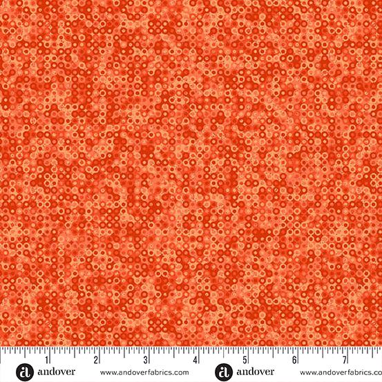 Fairy Rings - Marmalade A-1505-O