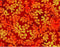 Fall Classic Leaves and Berry OA-597343 Copper