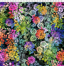 Felicity-Black Floral 2FEL-2