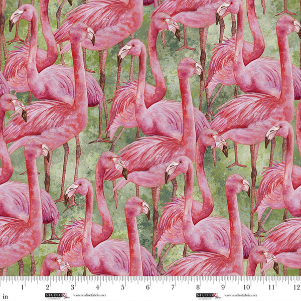 Flamingo Fling-Matcha 8487-64