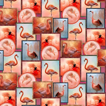 Flamingo Grace-Flamingo Tango Multi DDC12916-MULT-D