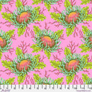 Floral Reef-Friends & Anemones Coralline PWTP265.CORALLINE