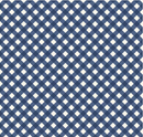 Freedom Garden-Gingham Blue C15624-BLUE