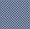 Freedom Garden-Gingham Blue C15624-BLUE