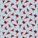 Friends & Flakes-Cardinal Sky R501895D-SKY