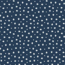 Friends & Flakes-Star Navy R501898D-NAVY