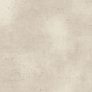 Gesso-Oyster W130-001-049