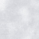 Gesso-Silver W130-001-041