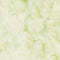 Glorious Greens-Celery CELERY