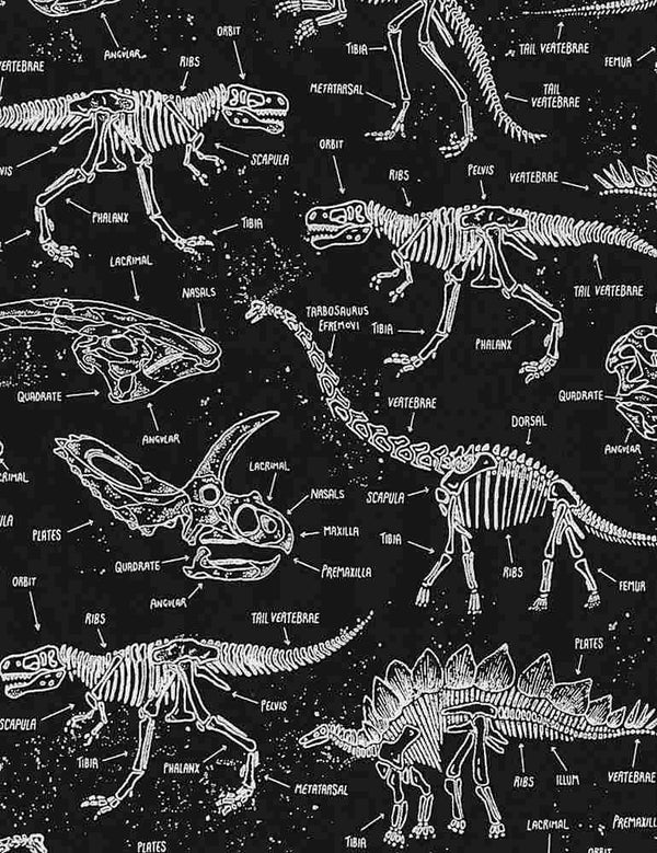 Glow Dinosaur Skeletons DINO-CG5797-BLACK