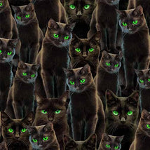 Nightmare At Halloween-Halloween Cats-Black DDC12734-BLAC-D