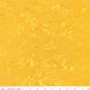 Hand Dyes-Canary BT21000-252