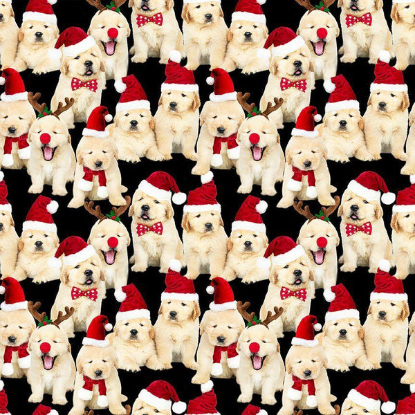 Holiday Lab Puppies - Black HOLIDAY-CD3468