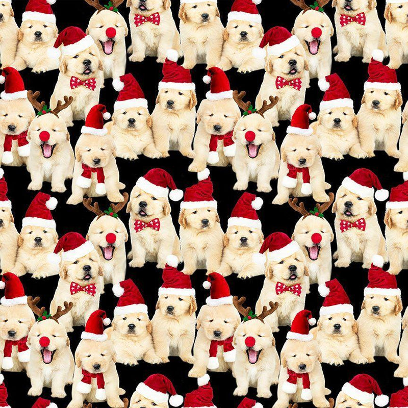 Holiday Lab Puppies - Black HOLIDAY-CD3468