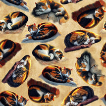 Homestead Heritage-Ivory 4875-41