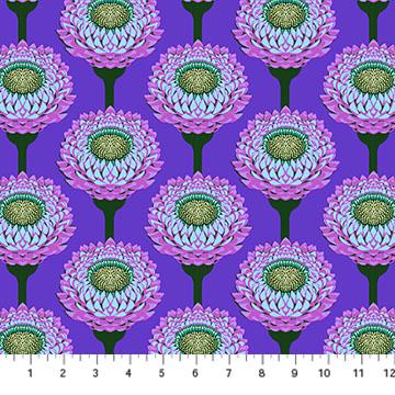 Iconic - Strawflower Periwinkle AMT123-63C