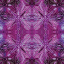 Incandescent-Reflections Fuchsia 16786-25