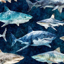 Into The Deep-Sharks Mediterranean 32219-N