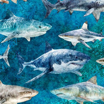 Into The Deep-Sharks Turquoise 32219-Q