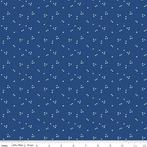It Takes A Village-Shining Star Hero Blue C15466-HEROBLUE
