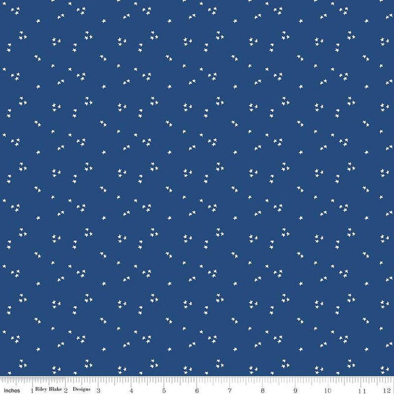 It Takes A Village-Shining Star Hero Blue C15466-HEROBLUE