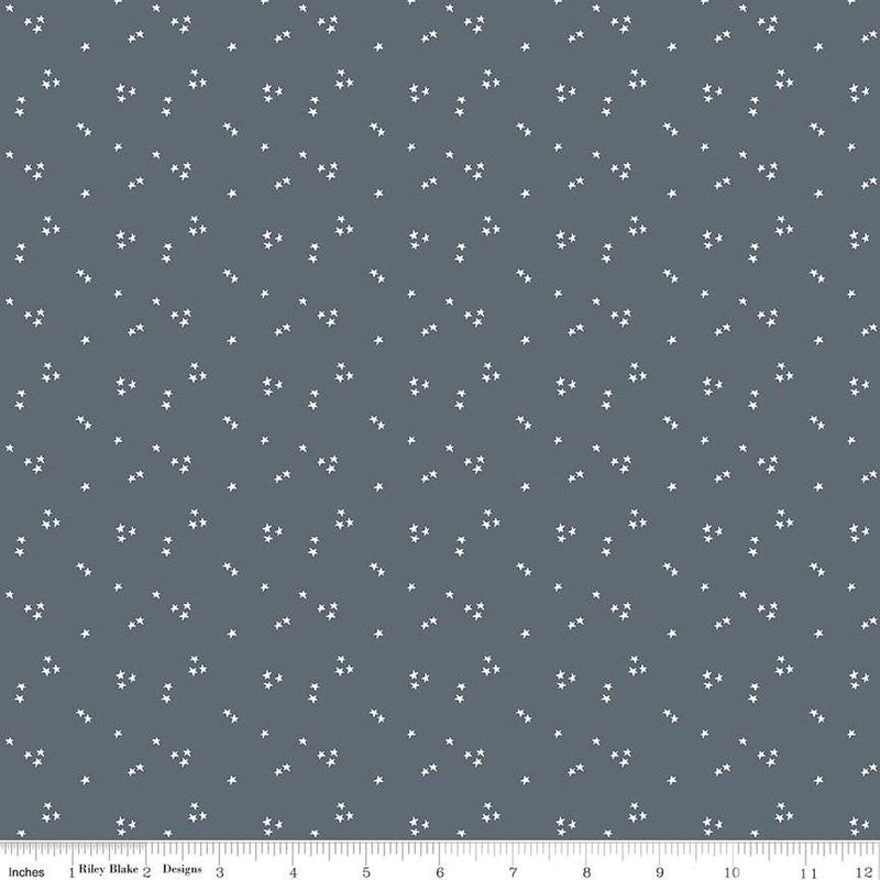It Takes A Village-Shining Star Smoke C15466-SMOKE