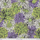 KF Collective August 2026-Bursting Stripes Contrast PWPJ137.CONTRAST