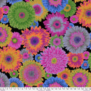 KF Collective August 2026-Gerbera Daisies Dark PWPJ139.DARK