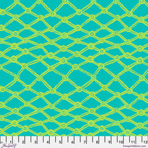 Kaffe Fassett Collective February 2026-Nets Aqua PWBM036.AQUA