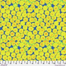 Kaffe Fassett Collective February 2026-Sand Dollar Blue PWBM031.BLUE