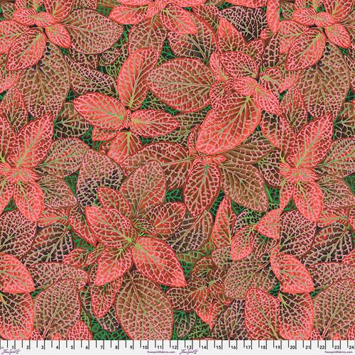 Kaffe Collective August 2024 - Fittonia - Red PWPJ129.RED
