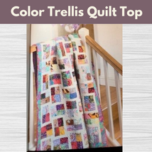 Color Trellis Quilt Top**Sat 11/30 10:00am-4:00pm (bring lunch)