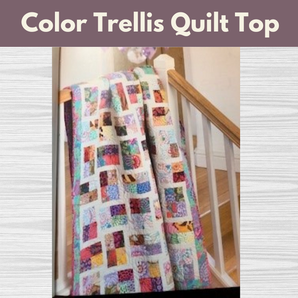 Color Trellis Quilt Top**Sat 11/30 10:00am-4:00pm (bring lunch)