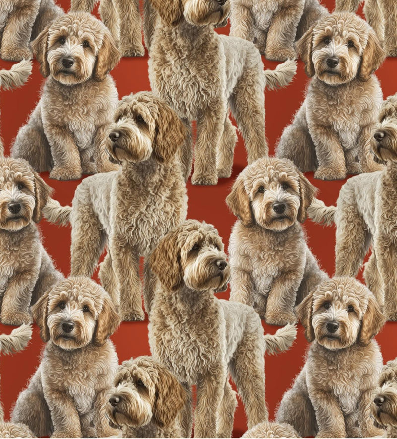 Labradoodle Red-Multi DX-4295-3C-1