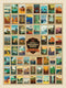 Legends Of The National Parks - 72" Wilderness Wonders Panel P9770-WILDERNESS