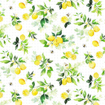 Lemon Zest-Citrus Grove White Y4734-1